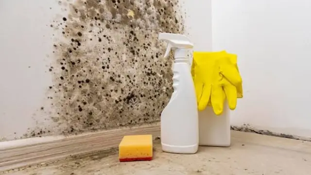 Spray bottles, sponge and gloves beside mold on a wall