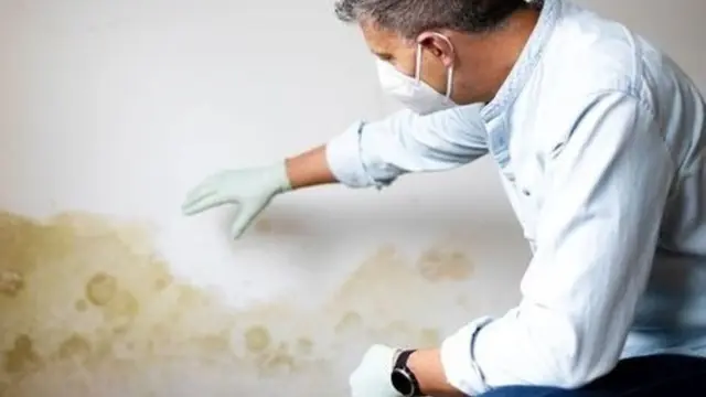 Inspector in a mask checking a water-stained wall